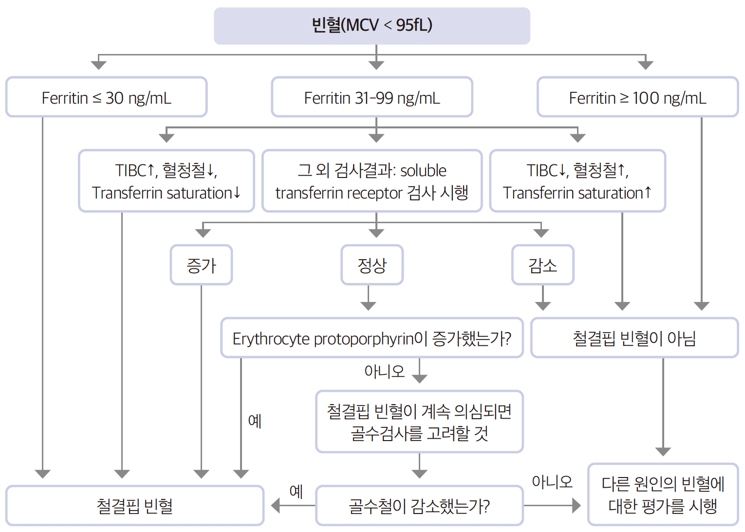 철결핍 빈혈(Iron deficiency anemia) - Metamedic