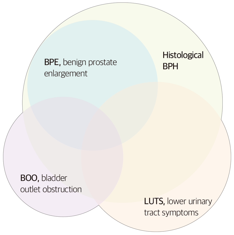 하부요로증상(Lower urinary tract symptoms) Metamedic