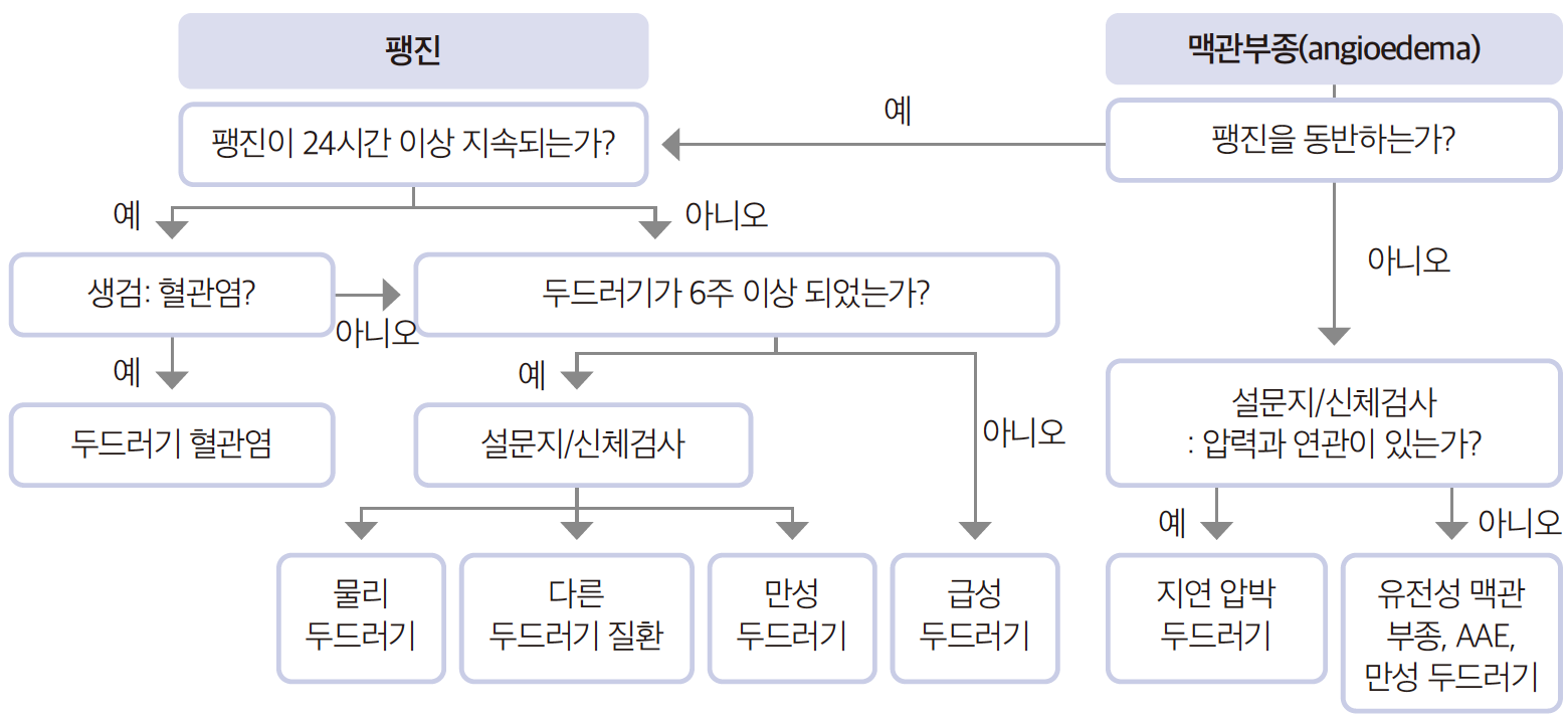 두드러기/혈관부종(Urticaria/Angioedema) - Metamedic