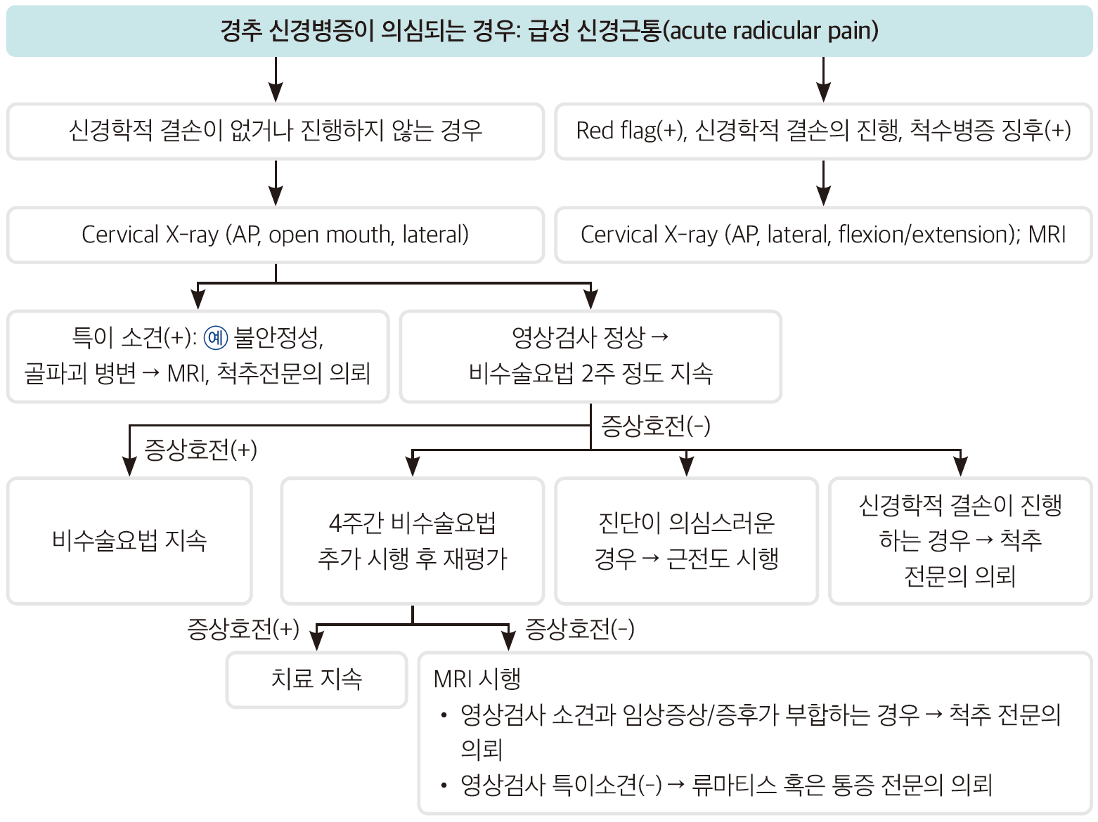경추 신경병증(Cervical radiculopathy) - Metamedic