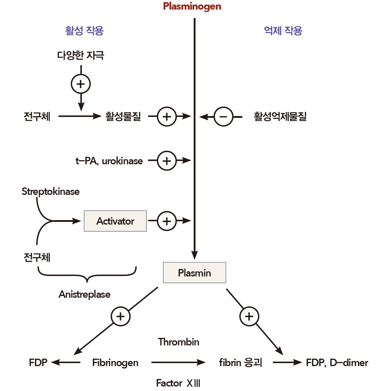 혈전용해제(thrombolytics) - Metamedic
