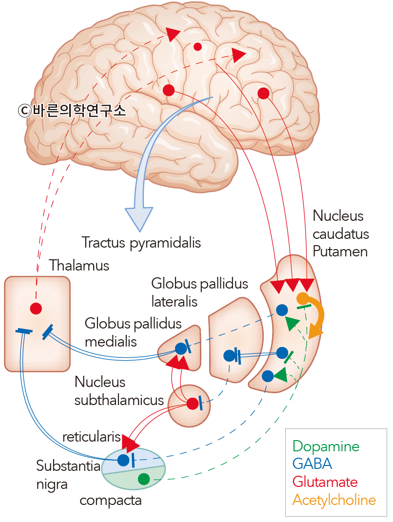 파킨슨병(parkinson’s disease): 치료 Overview - Metamedic