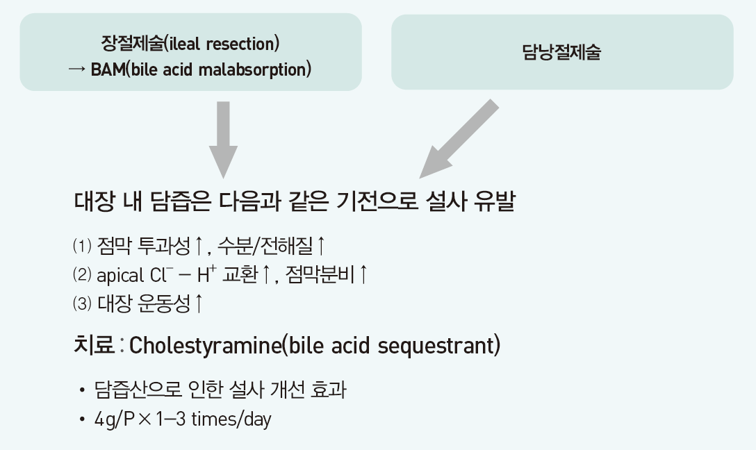 만성설사(Chronic diarrhea) - Metamedic