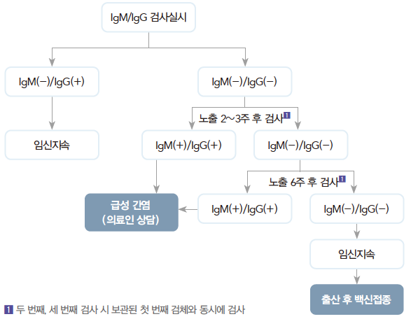 풍진바이러스 감염(German measles, Rubella) - Metamedic