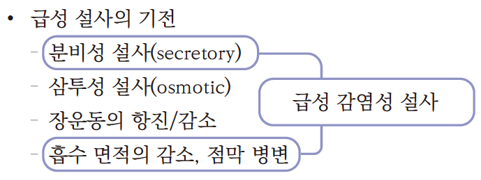 급성 설사(Acute diarrhea) - Metamedic