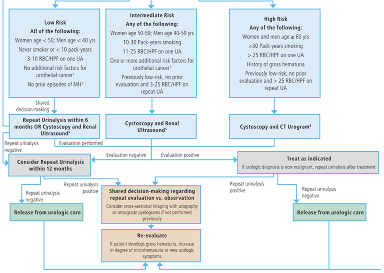 혈뇨(Hematuria): 2020년 AUA/SUFU 가이드라인 - Metamedic