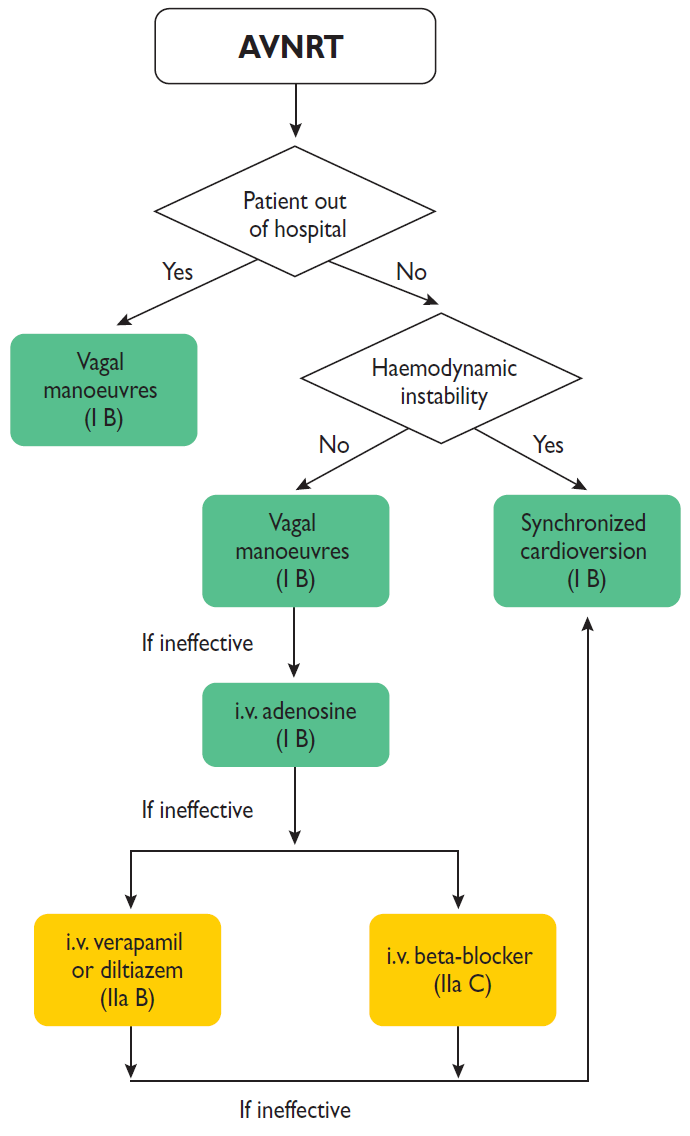 심실상 빈맥(Supraventricular tachycardia): AVNRT, AVRT - Metamedic